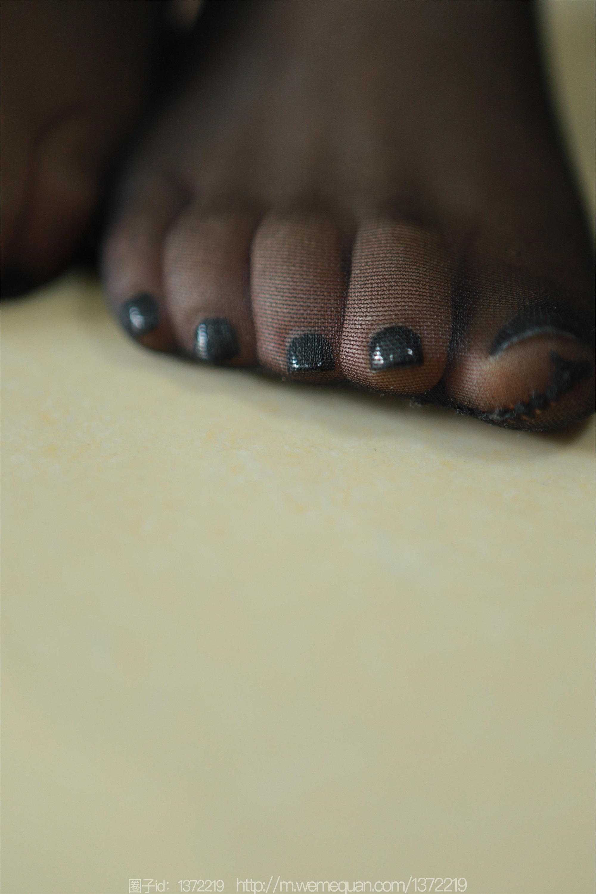 IESS异思趣向  2023.08.16 丝享家 1508 小金《小鸭子的故事》